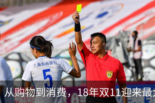 从购物到消费，18年双11迎来最大一次跃迁