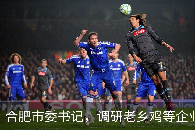 合肥市委书记，调研老乡鸡等企业