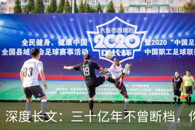 深度长文：三十亿年不曾断档，你本身就是地球上最大的奇迹！