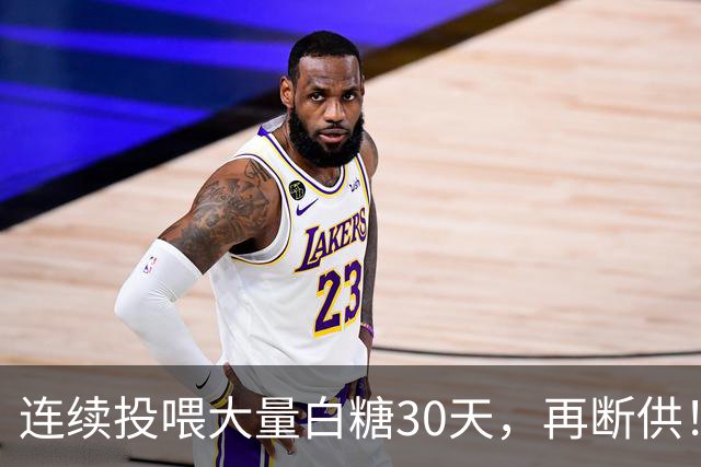 连续投喂大量白糖30天，再断供！国外网红扮“蚂蚁天神”整蛊野生蚁群