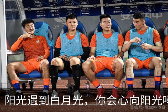 阳光遇到白月光，你会心向阳光吗